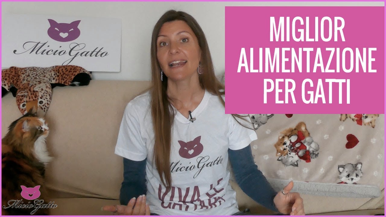 Alimentazione del gatto: la scelta migliore e come non farsi fregare!