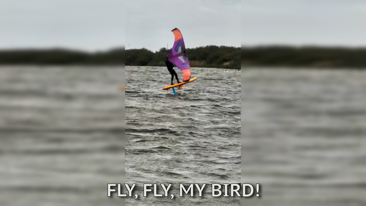 WingFoil Session 03 - Meldorfer Bucht Speicherkoog - 2023-05-20
