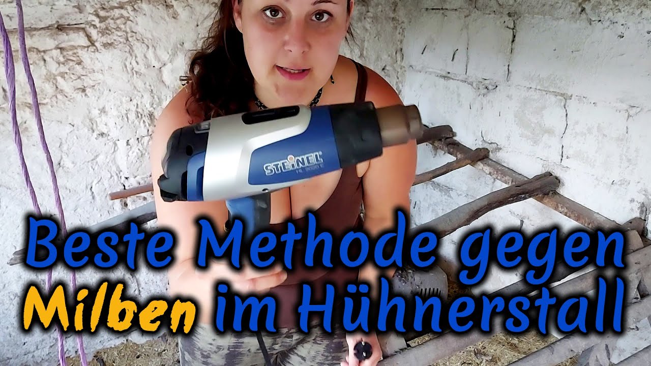 Milben im Hühnerstall bekämpfen - chemiefrei und einfach!