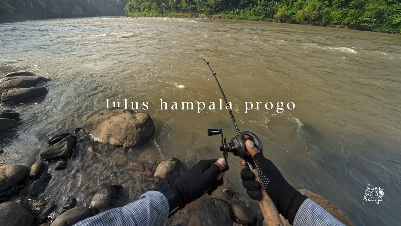 Akhirnya Lulus Casting Ikan Hampala Sungai Progo Jogja 🤩