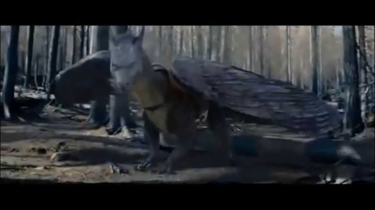 Saphira and Smaug - I Miss the Misery!