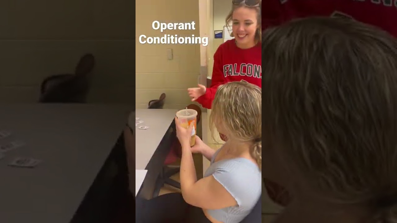 Operant Conditioning