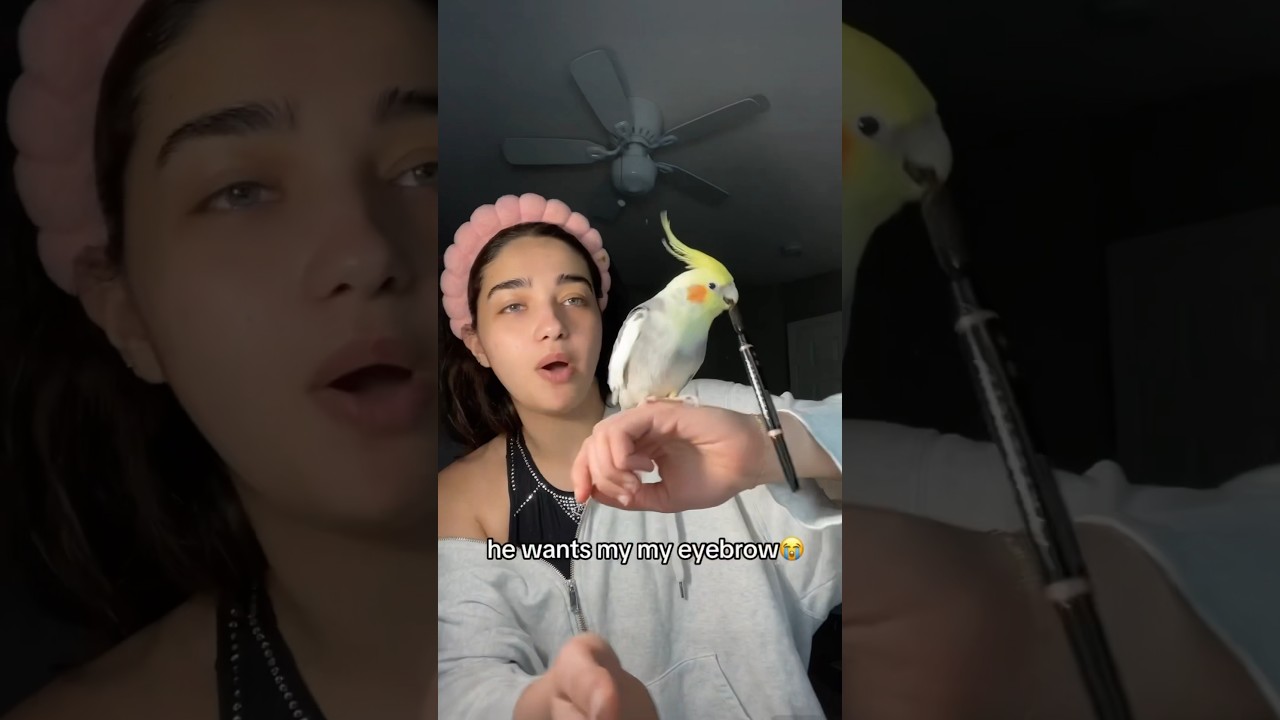 MY BIRD DOES MY MAKEUP 🐦 ✨ #bird #makeup #foryou #fyp #shorts