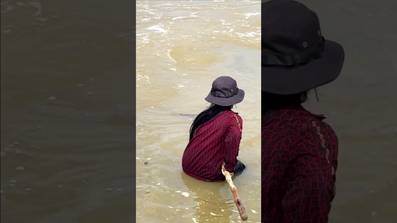 Real Life 100% Net Fishing In River At The Countryside .(Episode 258)
