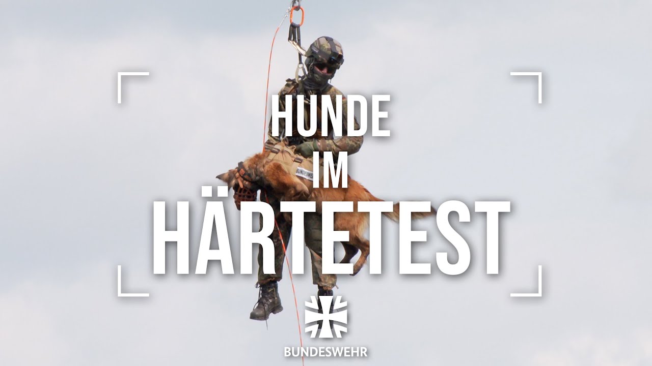 Einsatz-Training mit &bdquo;vierbeinigen Kameraden&ldquo; | Bundeswehr
