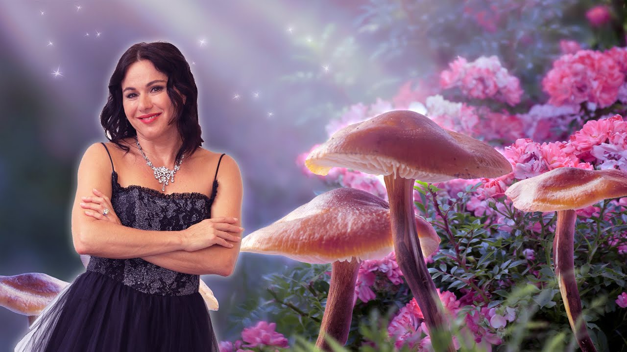 A light-hearted, fun Shroom Boom Music Video - Tania de Jong & Montana Sharp - MMA