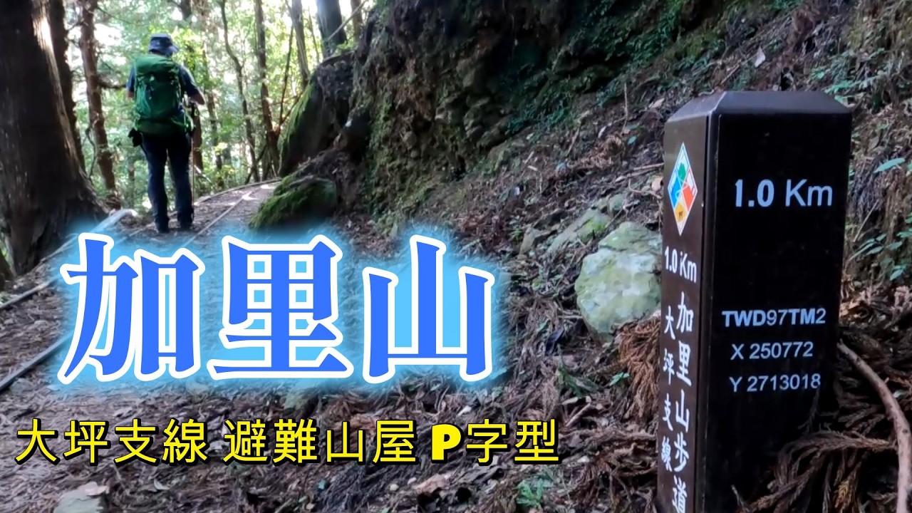 阿吉去爬山｜加里山｜小百岳034｜大坪登山口 大坪支線到避難山屋上加里山下乾溪溝中線P字型｜台版富士山