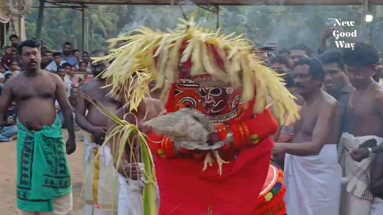 വളരെ അപൂർവ്വം കാവുകളിൽ കാണുന്ന തെയ്യം  പച്ചക്കോഴിയുടെ രക്തപാനം  ചെയ്യുന്നചോരക്കട്ടിയമ്മ 