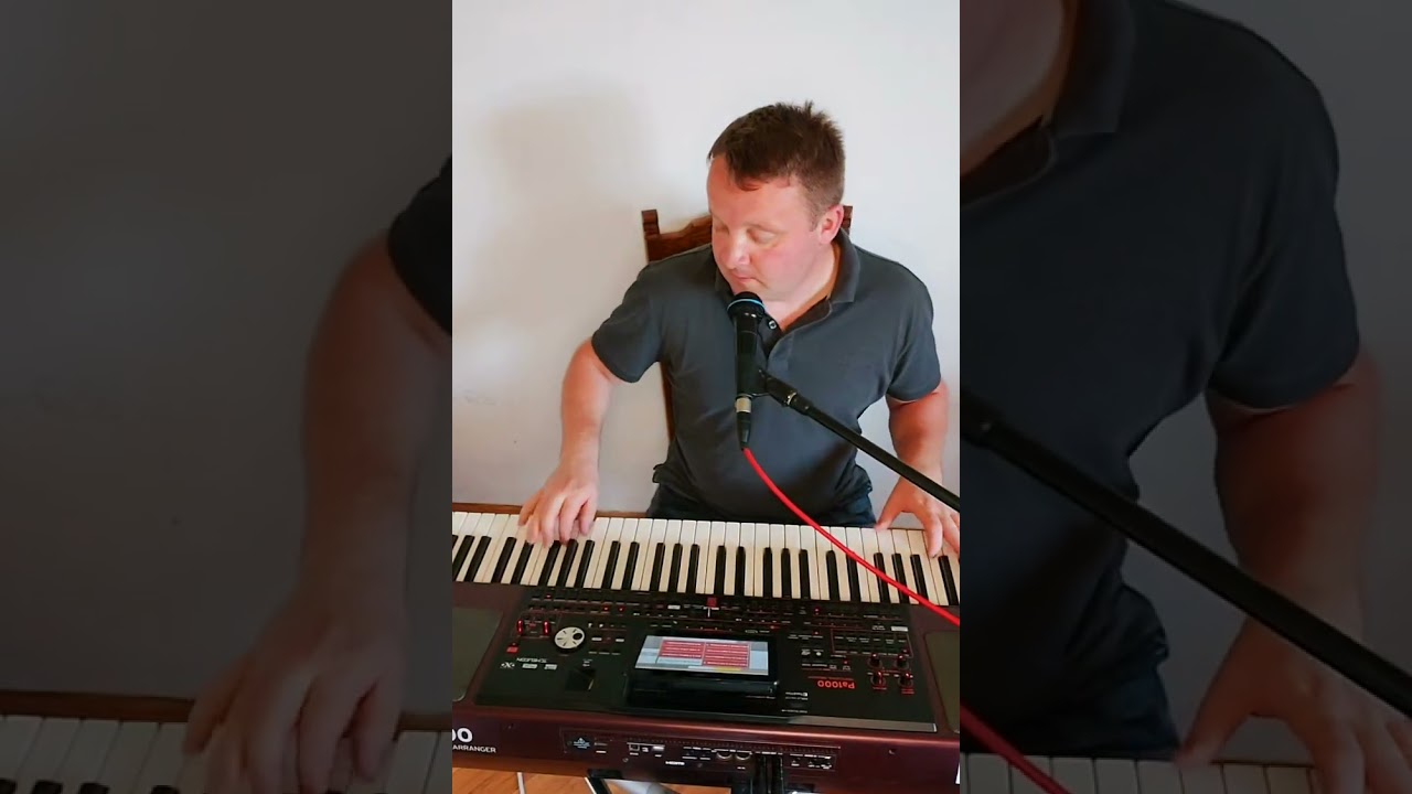 Posljednji put ti pjevam - IVAN HRŠAK