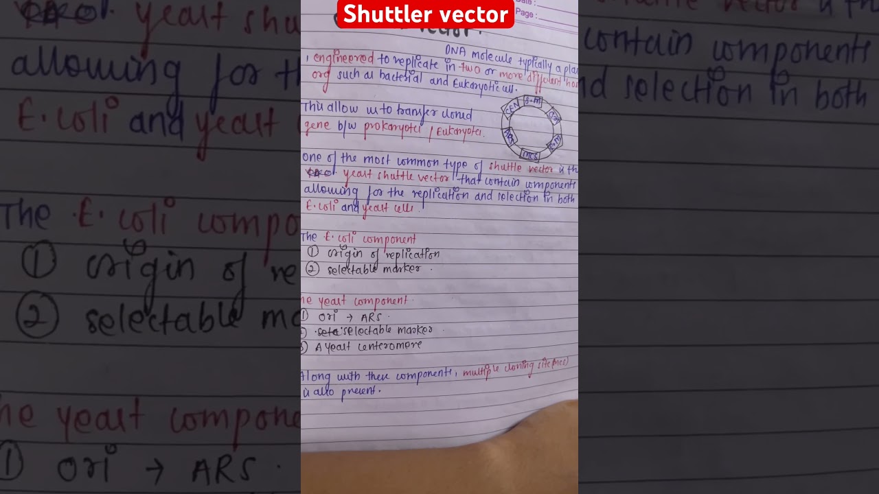 Shuttle vector#exam #biologicofficial #planthormones #viralvideo #neet #trending #youtube