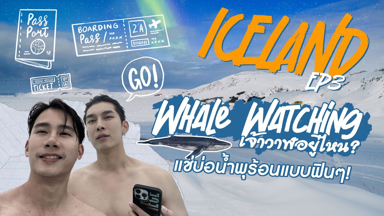 🇮🇸Iceland EP3 ล่องเรือดูวาฬ ทะเลที่นี่หวานจัง ไปแช่ Blue lagoon คุณก็น่ารักจัง