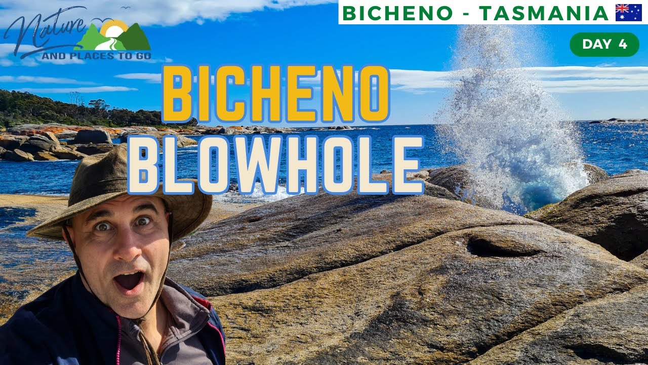 Tasmania Day 4 😲 Bicheno Blowhole 🌊 An absolute blast! 💦
