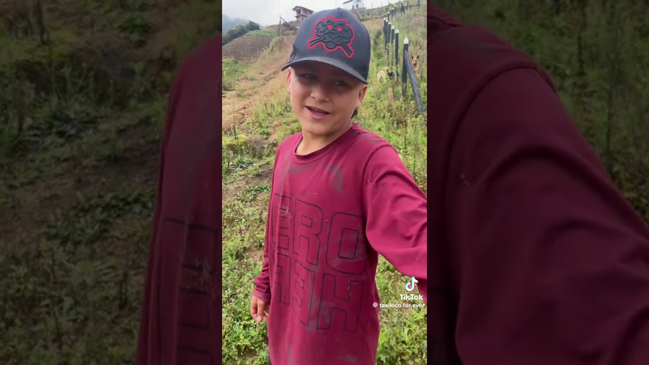 Niño de campo vs niño de ciudad 