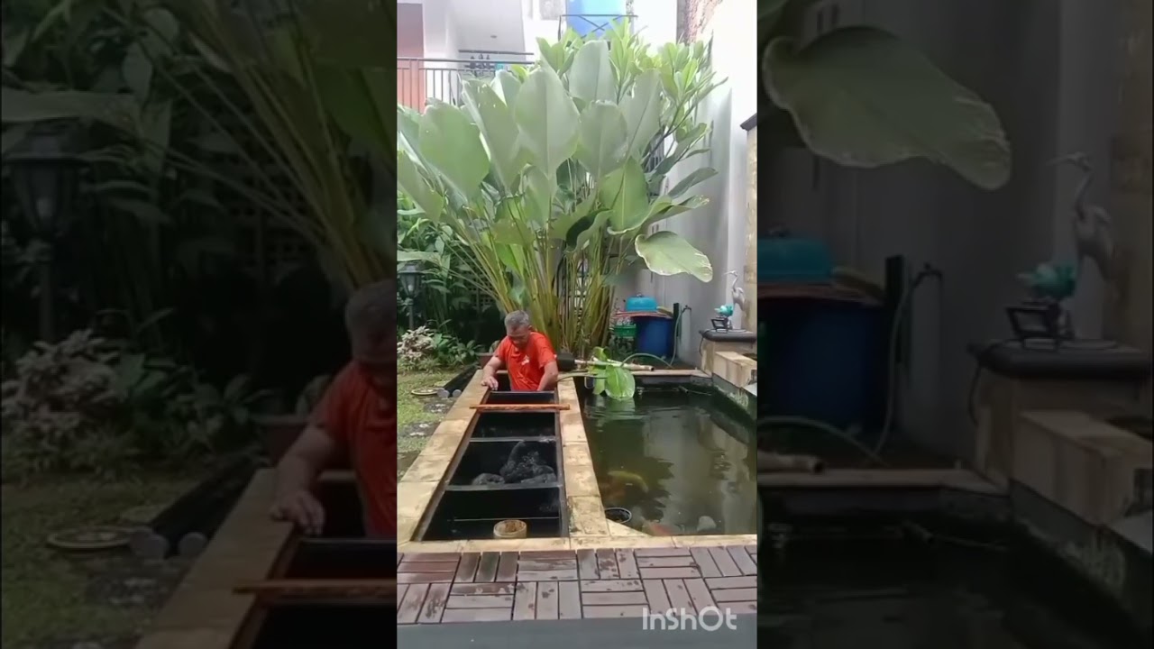 Kuras filter kolam koi dicijantung