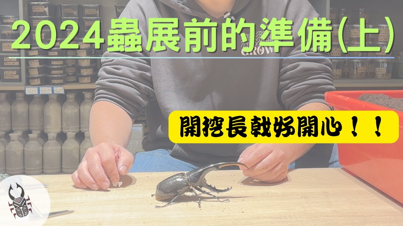 開挖一批長戟大兜蟲｜2024昆蟲展準備 ( 上集 )【玩蟲趣 】