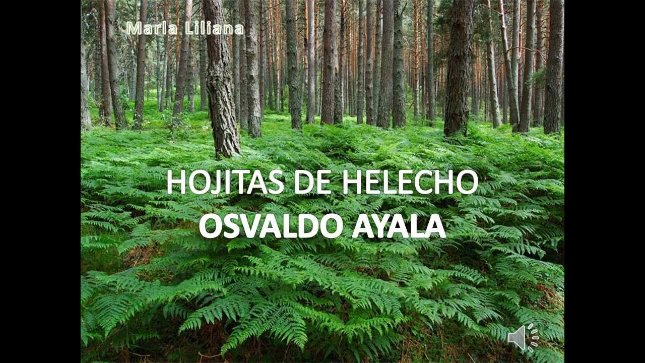 HOJITAS DE HELECHO OSVALDO AYALA