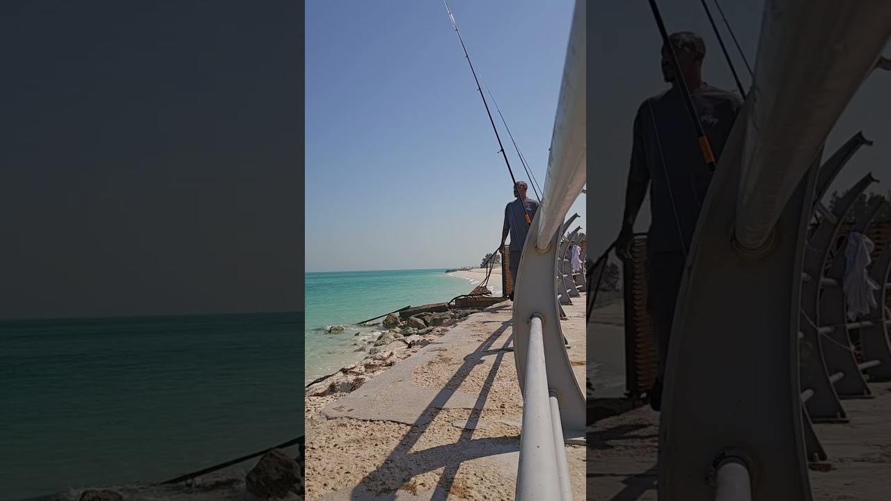 ١ مارس ٢٠٢٦