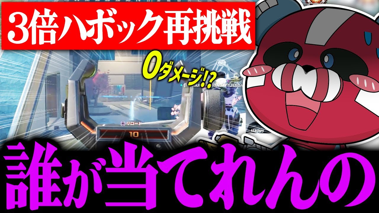3倍ハボックに再挑戦するCHEEKY【CHEEKY切り抜き】