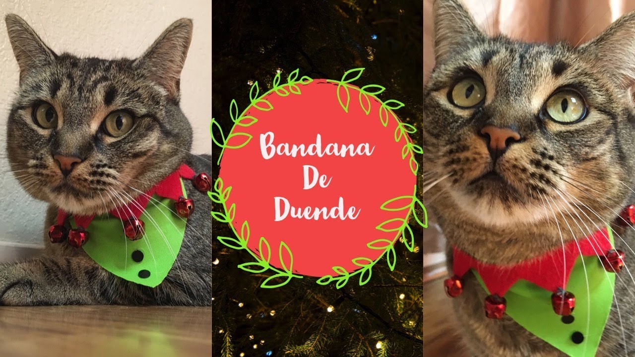 Bandana de duende Navideño
