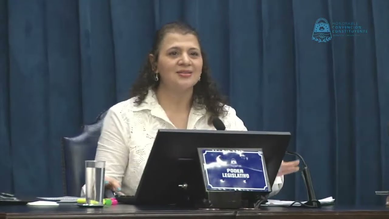 HONORABLE CONVENCIÓN  CONSTITUYENTE DÉCIMA TERCERA SESIÓN PLENARIA