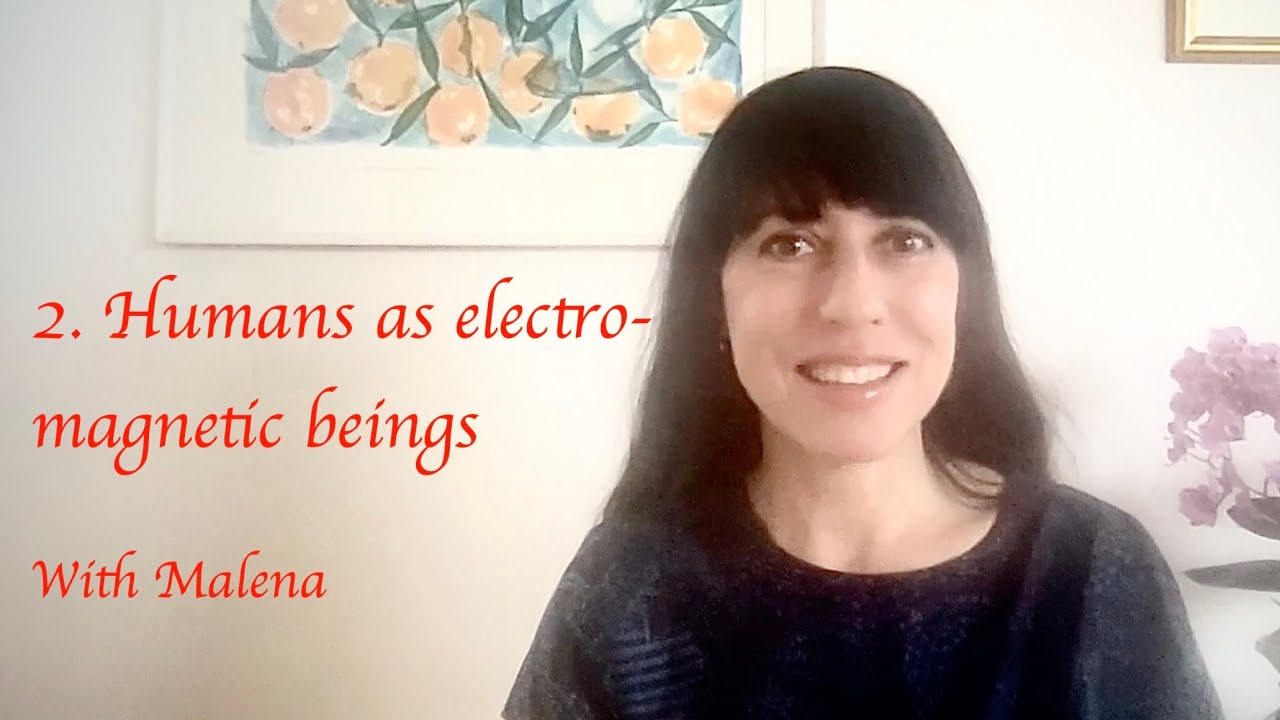 2  Humans as electromagnetic beings