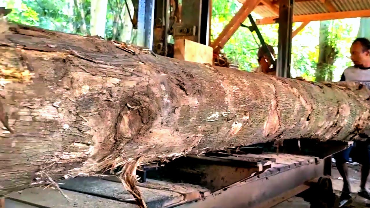 The process of processing teak wood into high-value house frame beams