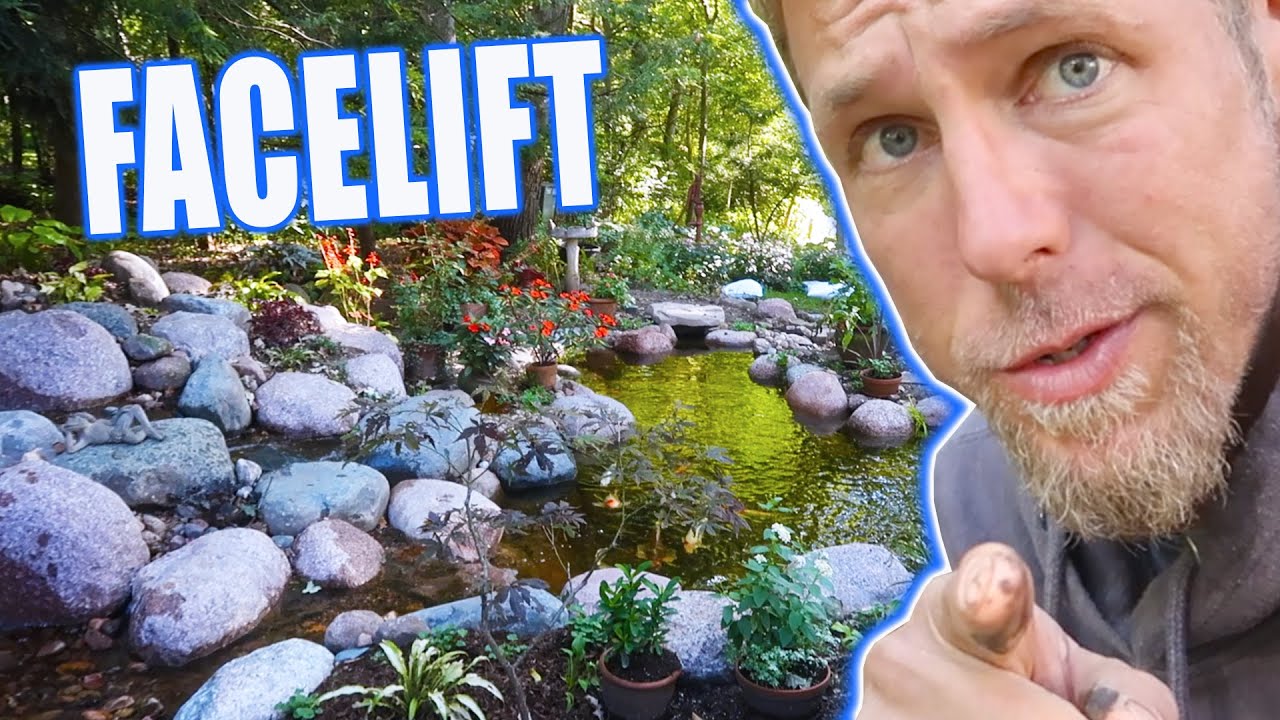 *POND Renovation* and Waterfall Build in the Woods!