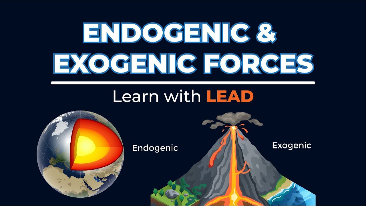 Endogenic and Exogenic Forces | Learn with LEAD | LEAD