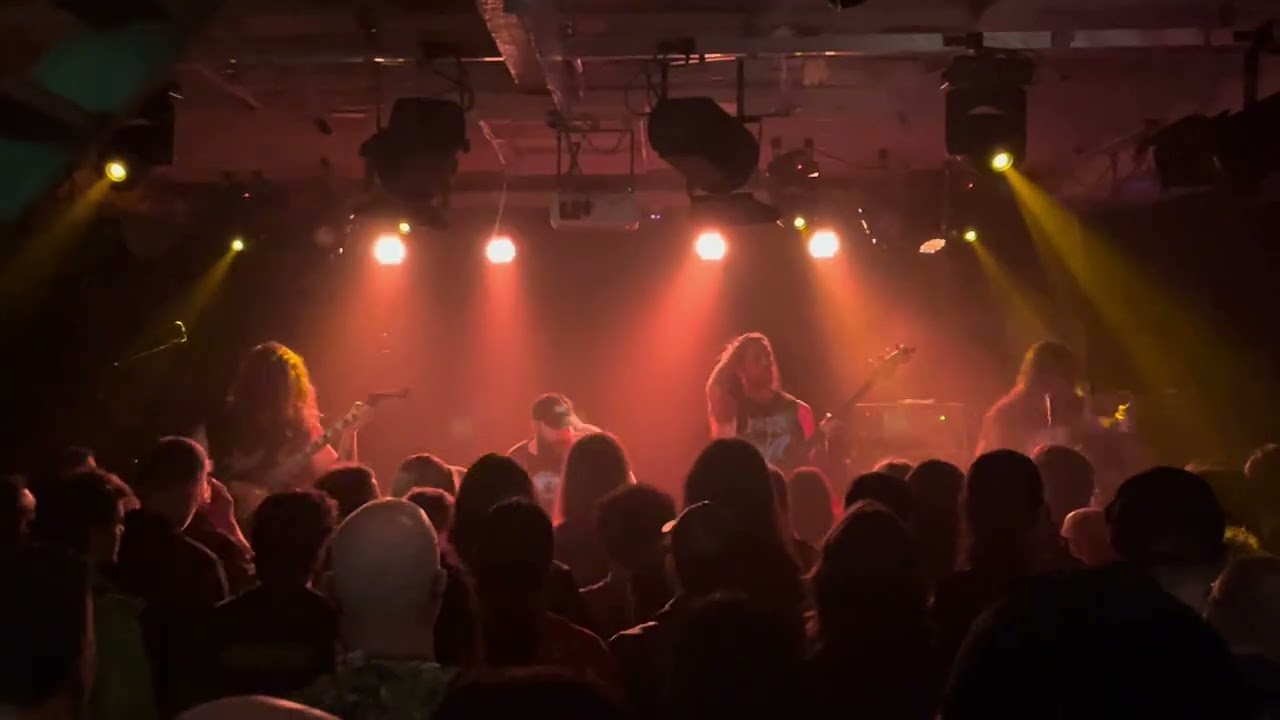 Slimelord - Gut-Brain Axis (Live, July 2024)