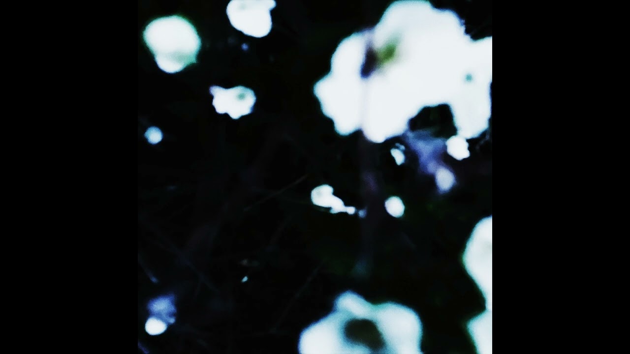 the mystic loner - chaos flower [audio]