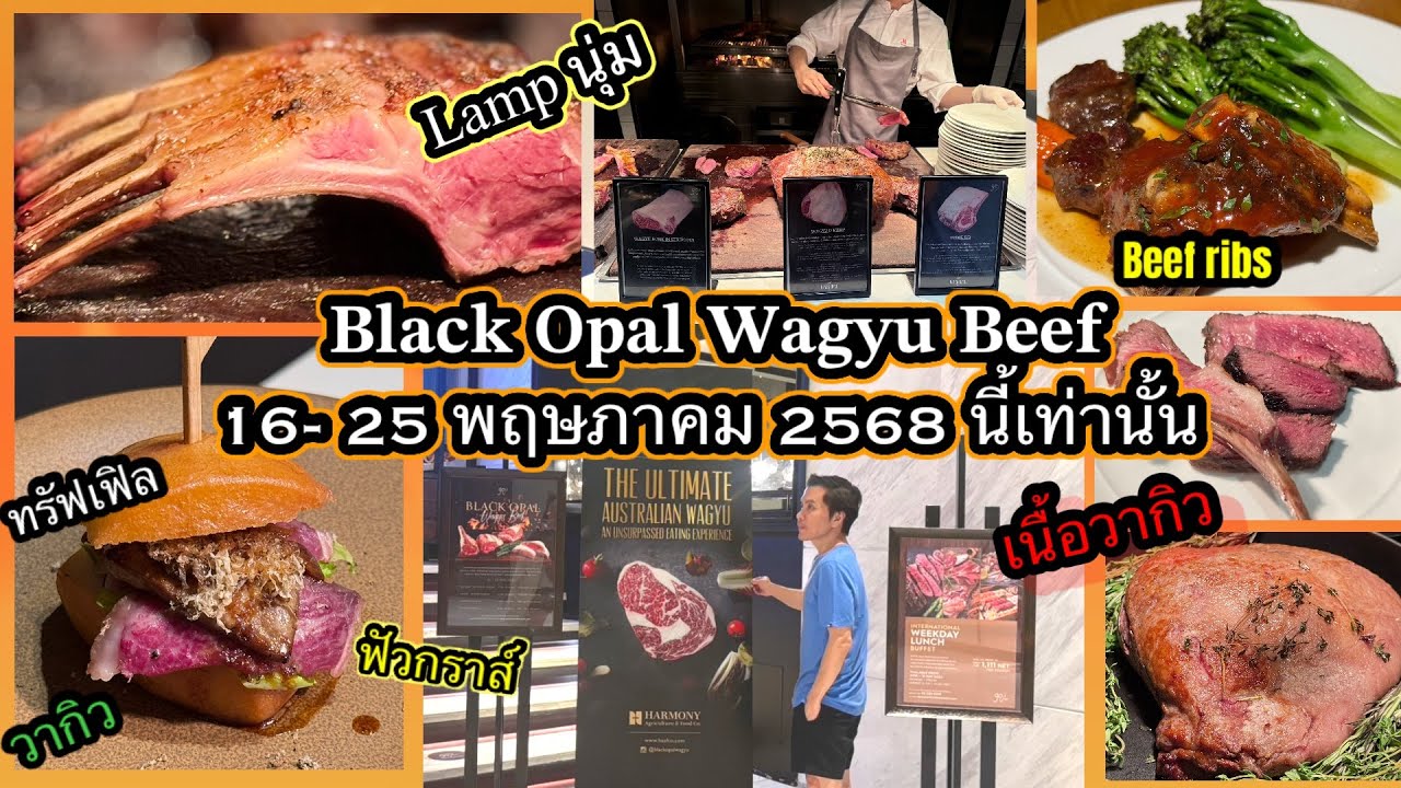 อ้นพาวาร์ป : Goji Kitchen & Bar เทศกาลBlack Opal Wagyu Beef 16-15 พค 68