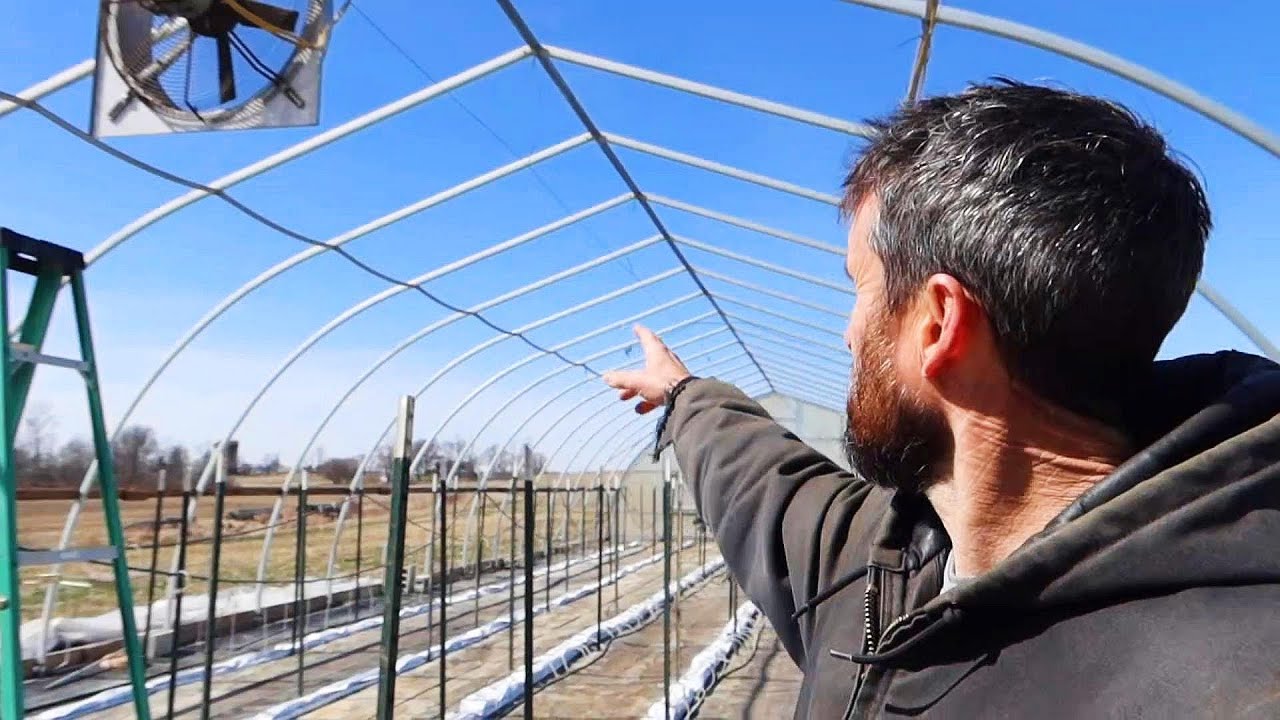 Greenhouse Tomato Pollinating, Seeding, Clipping and Plastic Removal