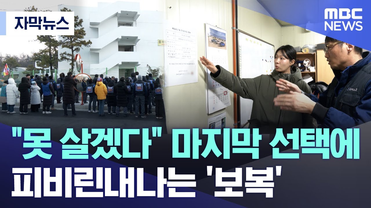 [자막뉴스] 