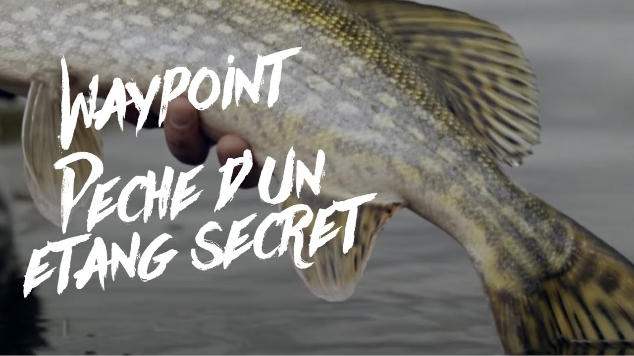 Pêche d’un étang secret / WAYPOINT (pêche du brochet)