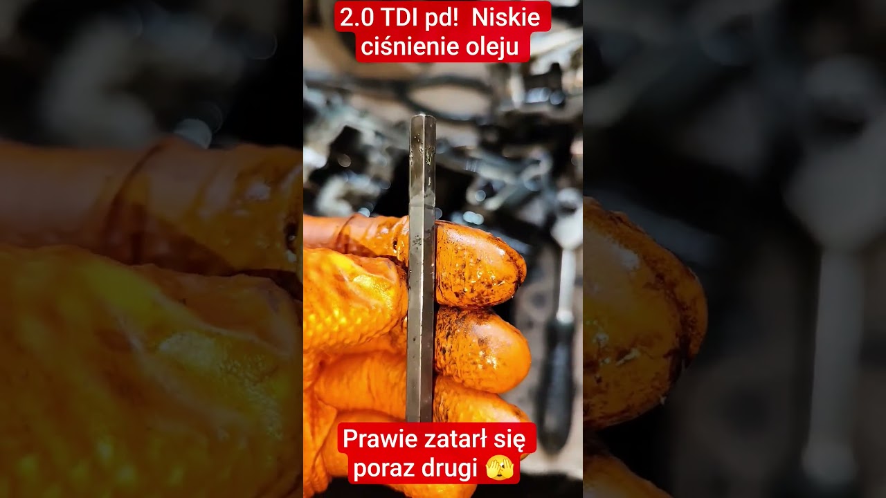 2.0 TDI pd, passat! niskie ciśnienie oleju?#vag #mechanik