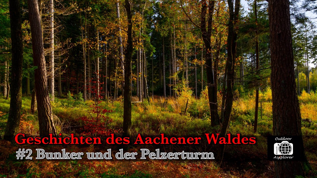 HISTORY - Geschichten des Aachener Waldes #2 - Bunker und der Pelzerturm