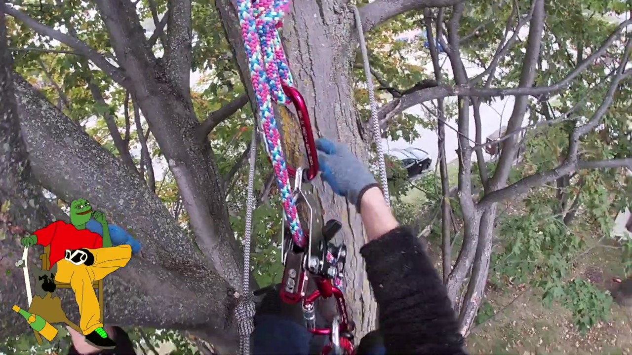 MY PREFERRED CLIMBING METHOD, SPIDERJACK 3