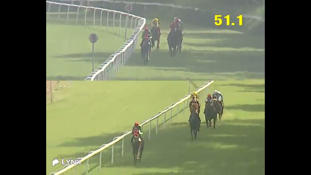 Delhi Race No 2 The Ultimate Victory Plate/ win - MISSEY BOY / Jockey - Aashif Khan/ #racing 2026
