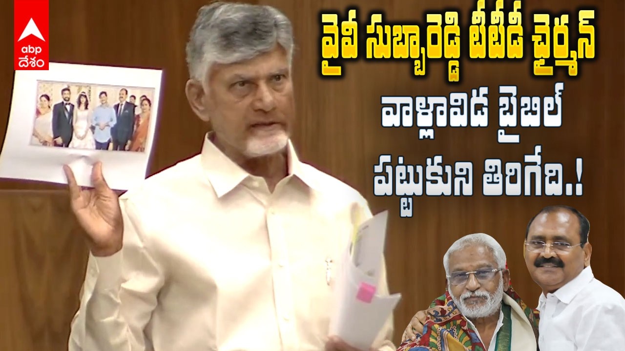 CM Chandrababu YV Subbareddy | భూమన కరుణాకర్ రెడ్డి కూతురికి క్రిస్టియన్ పెళ్లి చేశారు | ABP Desam