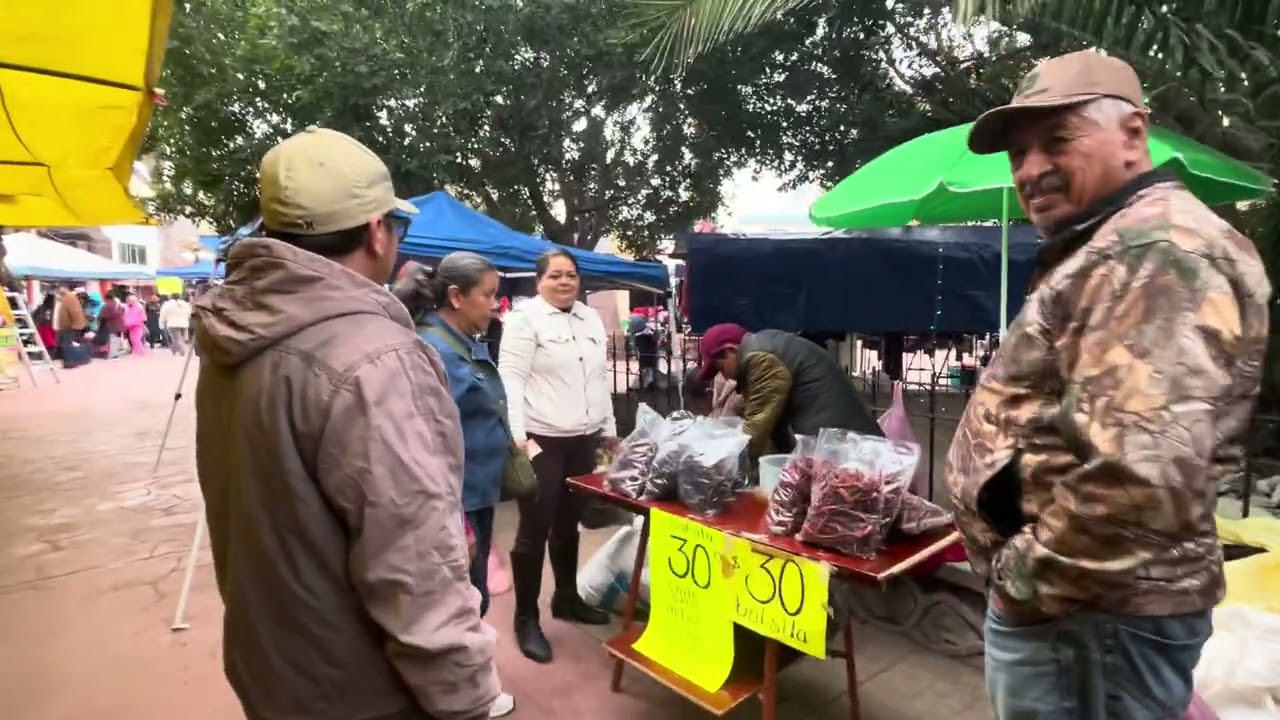 Caminando en la plaza de Villa Hidalgo SLP 12/25