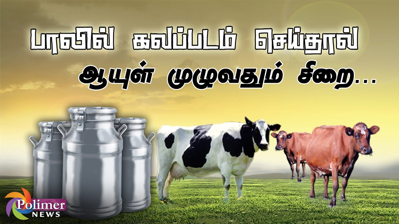 Supreme Court emphasizes Life imprisonment for Milk Adulteration | Polimer News