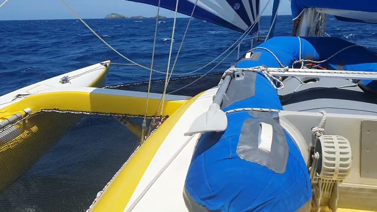 205 - 3rd November 2024. Yamba - ??? Port Stephens, maybe.