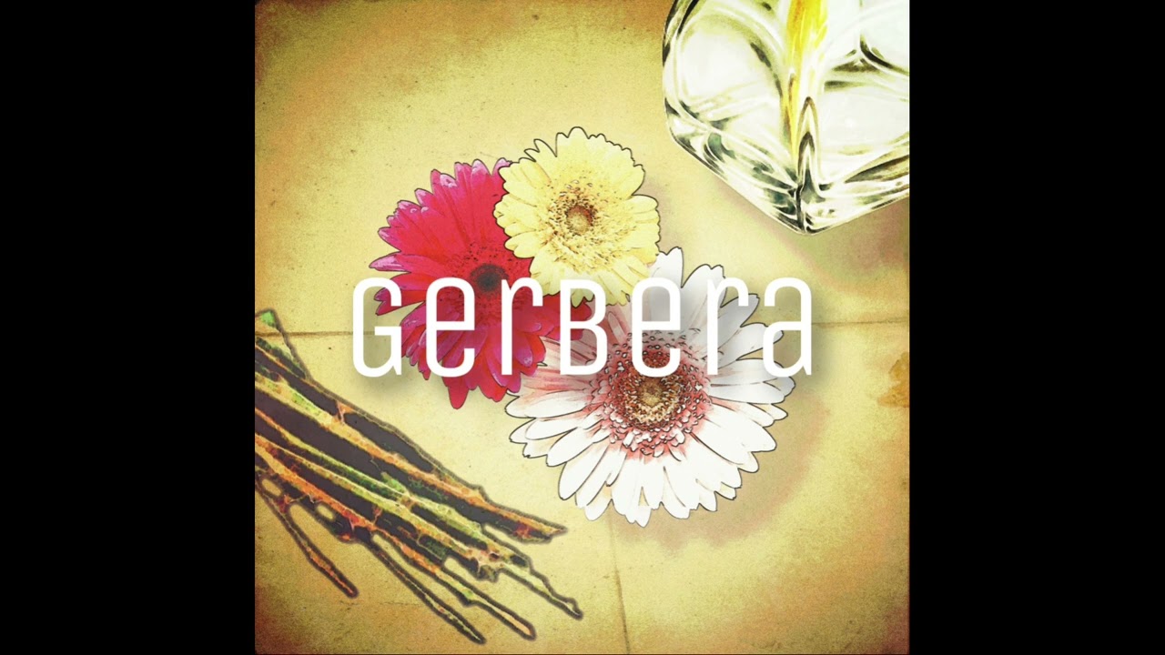 唾奇×gospel type beat “Gerbera”