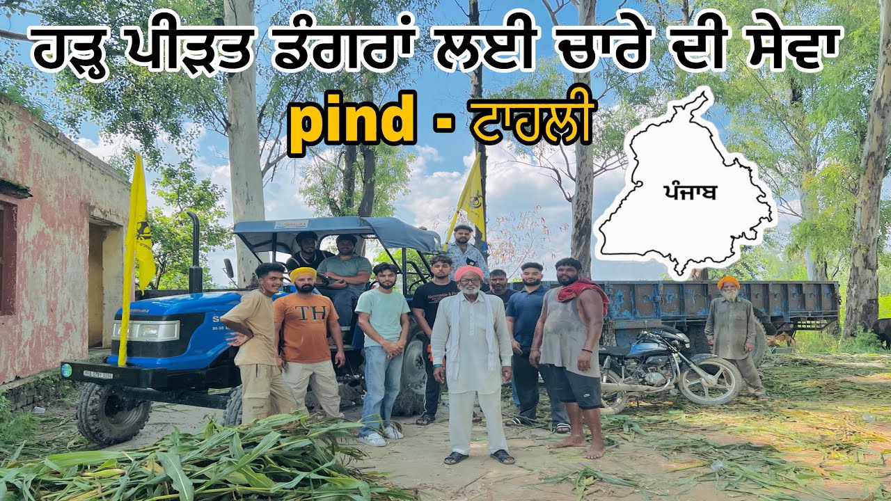 ਹੜ੍ਹ ਪੀੜਤ ਡੰਗਰਾਂ ਲਈ ਚਾਰੇ ਦੀ ਸੇਵਾ [ ਪਾਣੀ ਦੀ ਮਾਰ ਥੱਲੇ ਆਈਆ ਫਸਲਾਂ 🌾 🙏🏻 #waheguru 