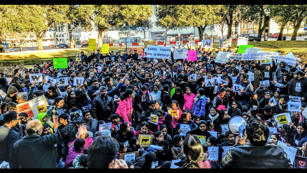 Jallikattu Row: Tamil Peoples on hunger Strike at Dallas, USA | News7 Tamil