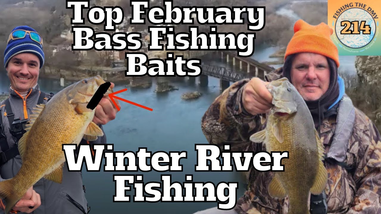 Our Top Baits for February Bass Fishing Success!!!! | Potomac River Winter Bass Fishing