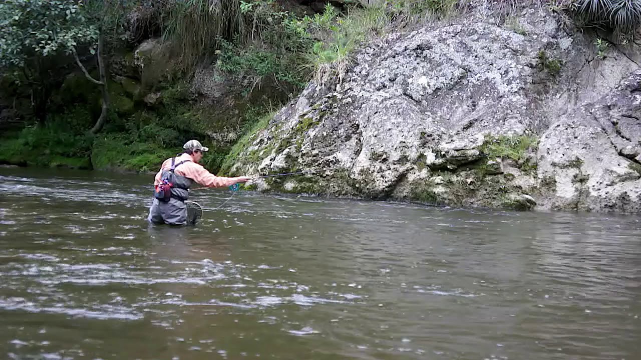 MAXCATCH EURO NYMPHING #2