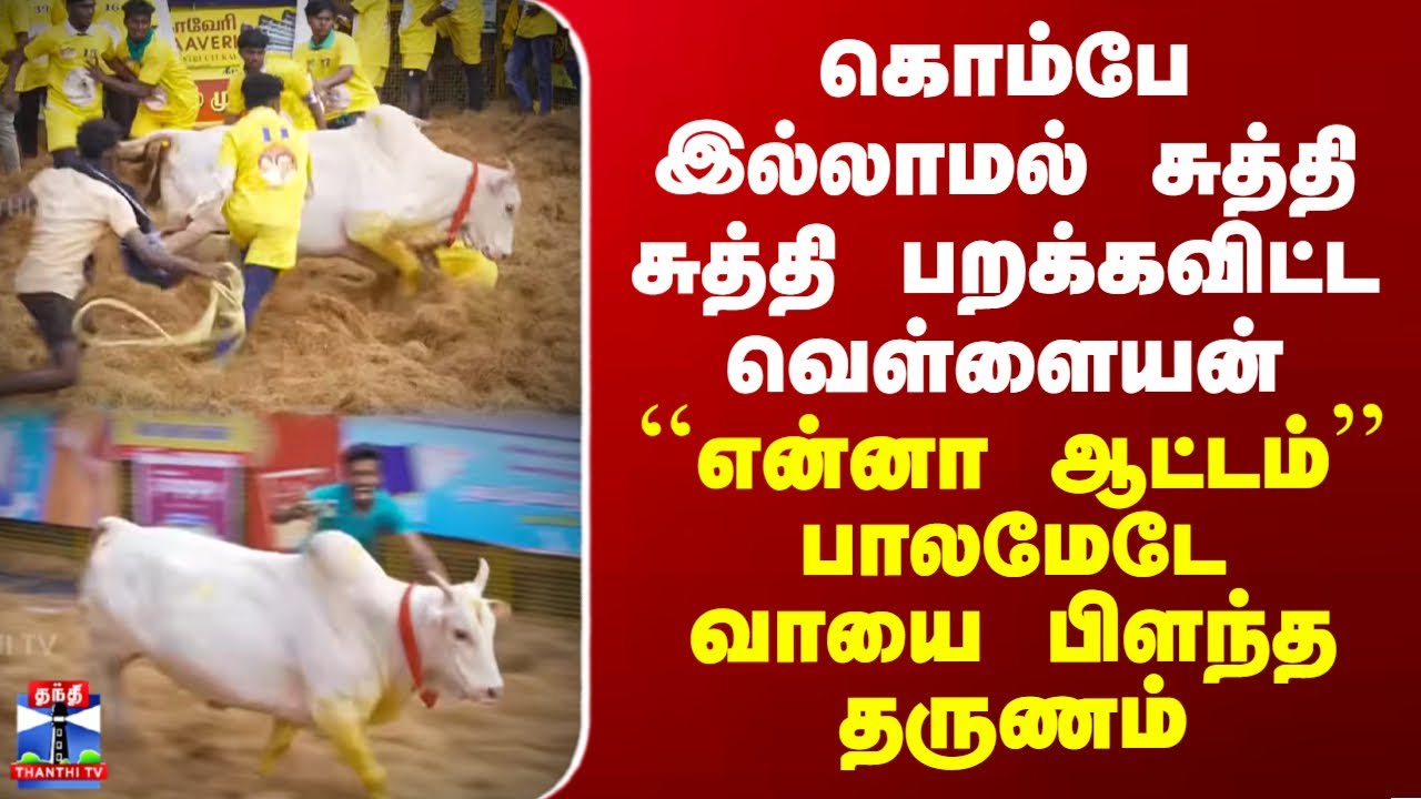 Palamedu Jallikattu | கொம்பே இல்லாமல் சுத்தி சுத்தி பறக்கவிட்ட வெள்ளையன் -பாலமேடே வாயை பிளந்த தருணம்