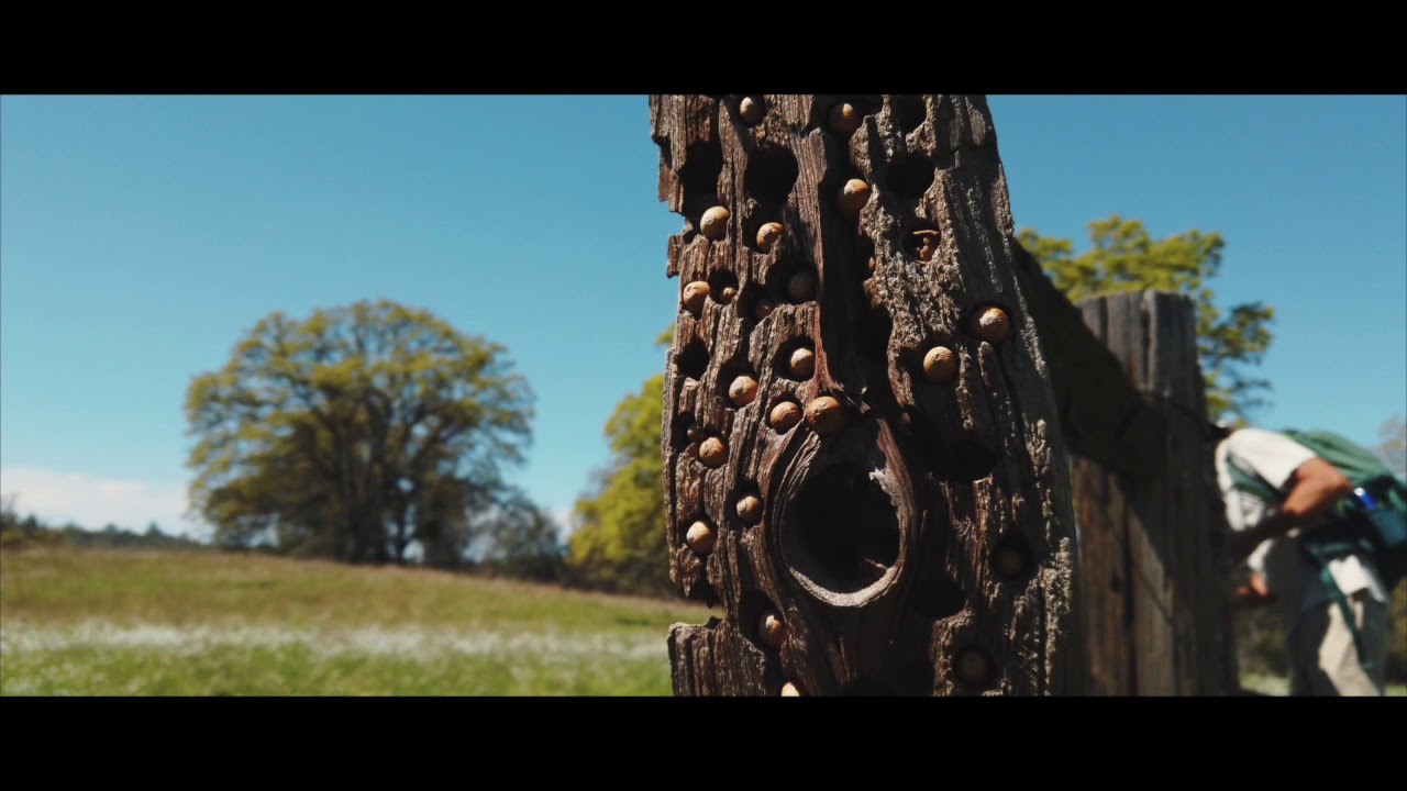 Three Springs Hike - Video, Music by Cedar Dobson