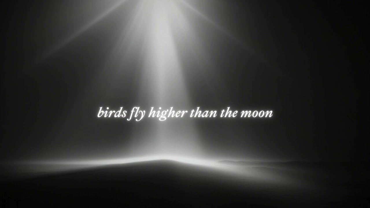 Yasper - Birds Fly Higher Than The Moon
